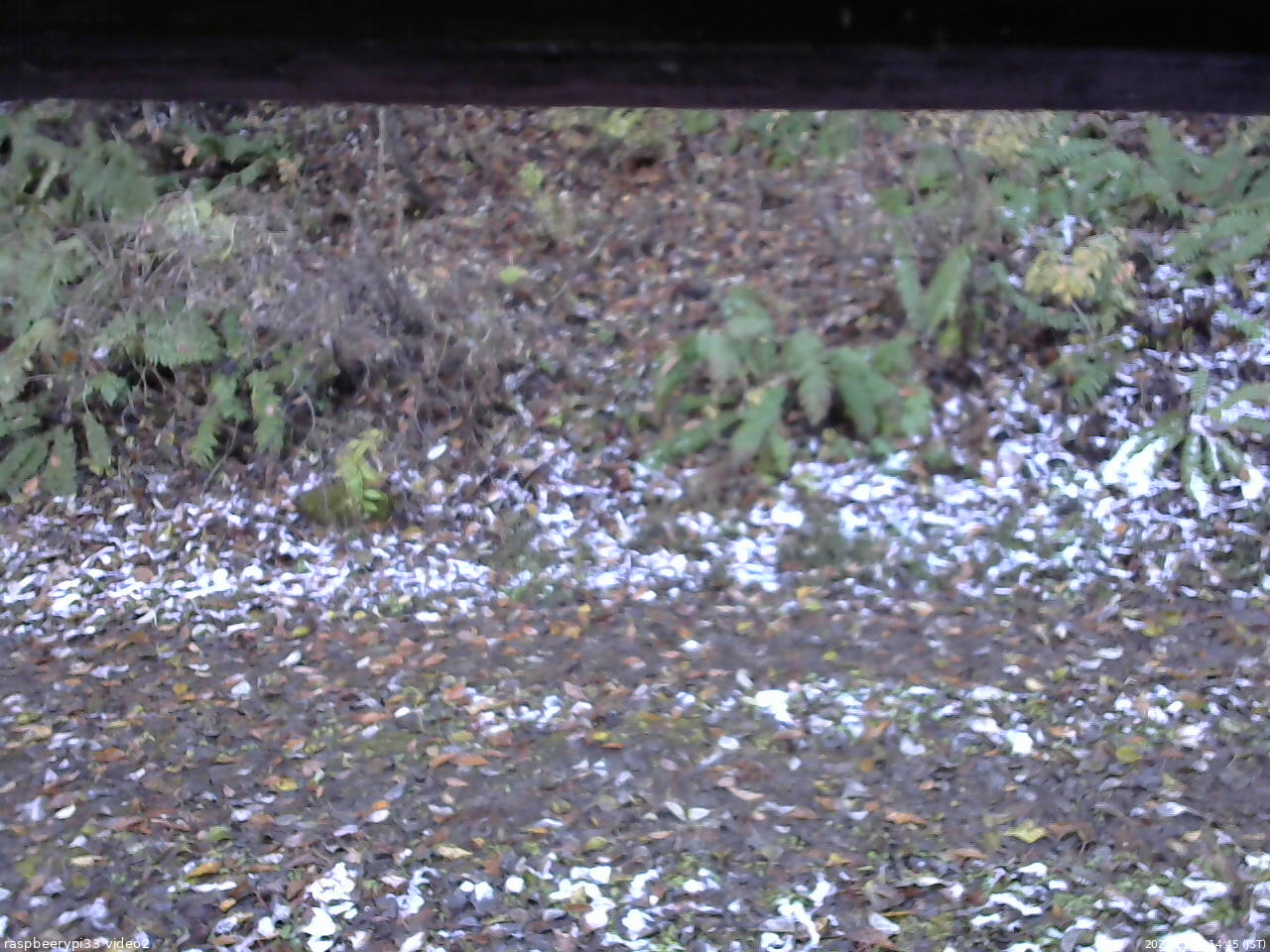 長野県菅平高原 ゆたか山荘 南側 2025/11/04 14:45