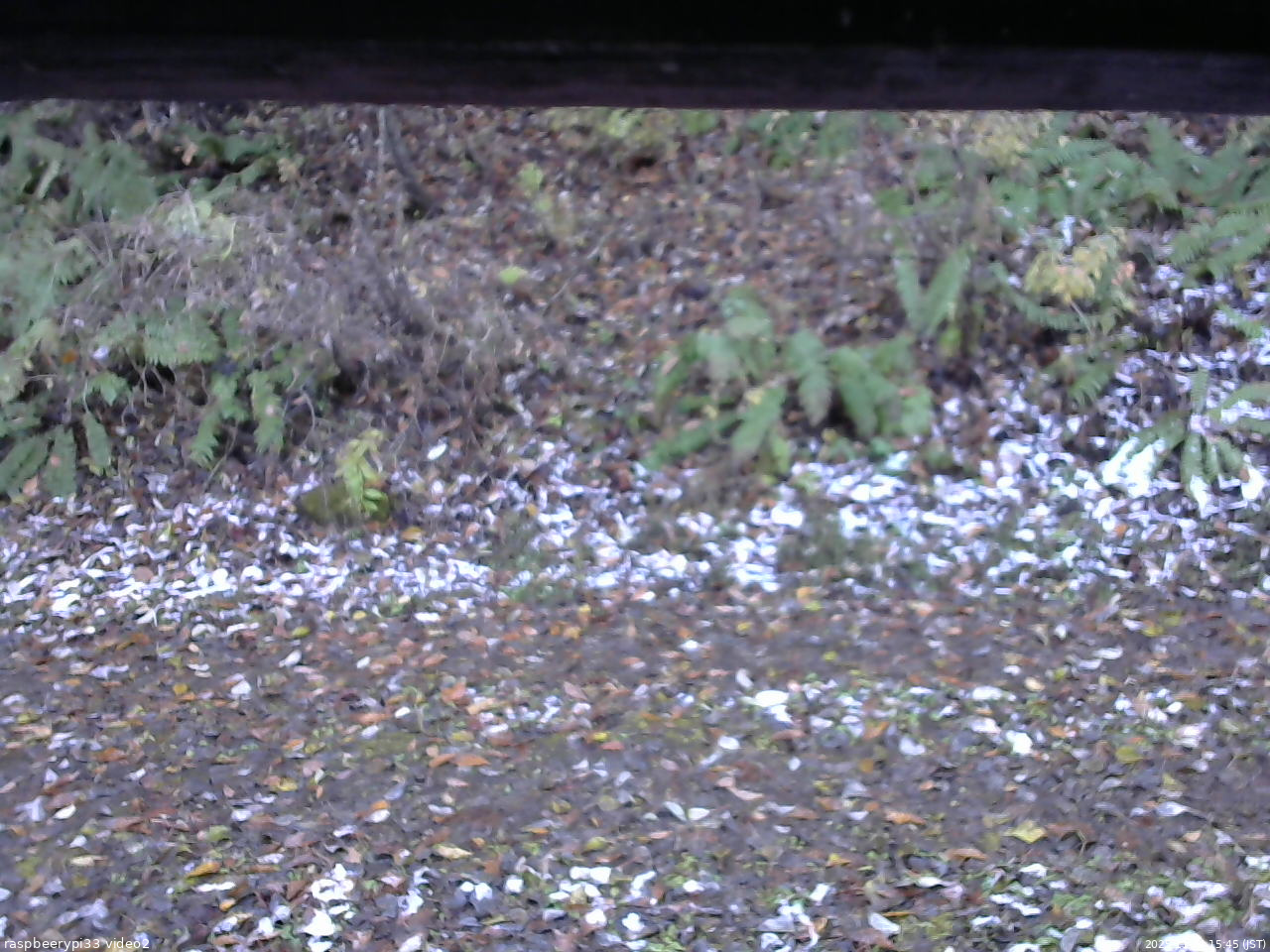 長野県菅平高原 ゆたか山荘 南側 2025/11/04 15:45