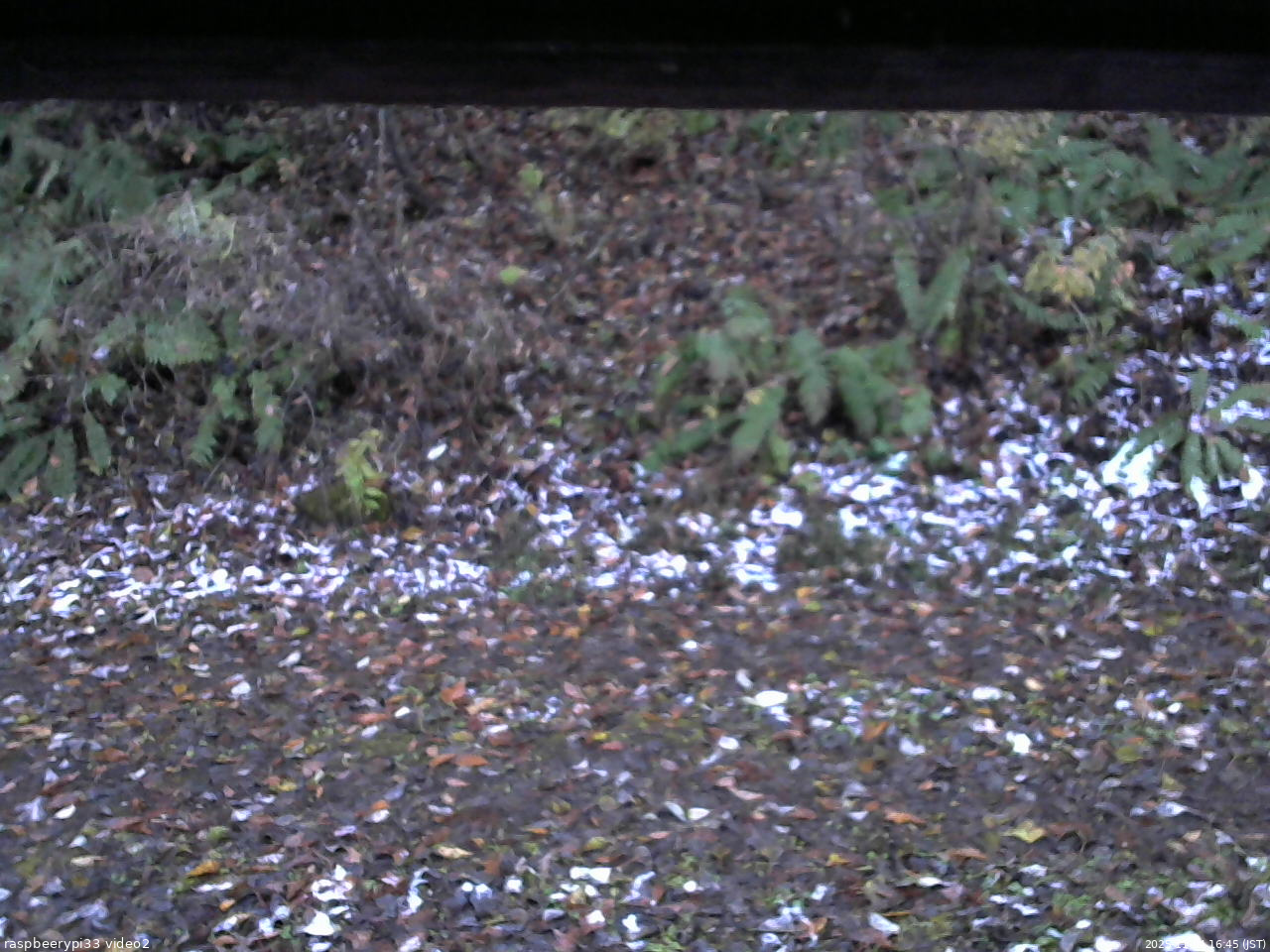 長野県菅平高原 ゆたか山荘 南側 2025/11/04 16:45