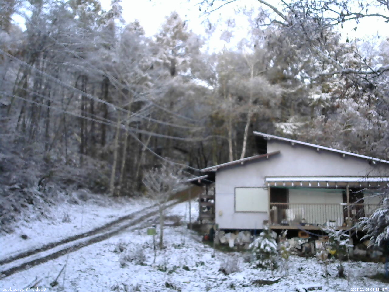 長野県菅平高原 ゆたか山荘 西側(坂上) 2025/11/04 06:15