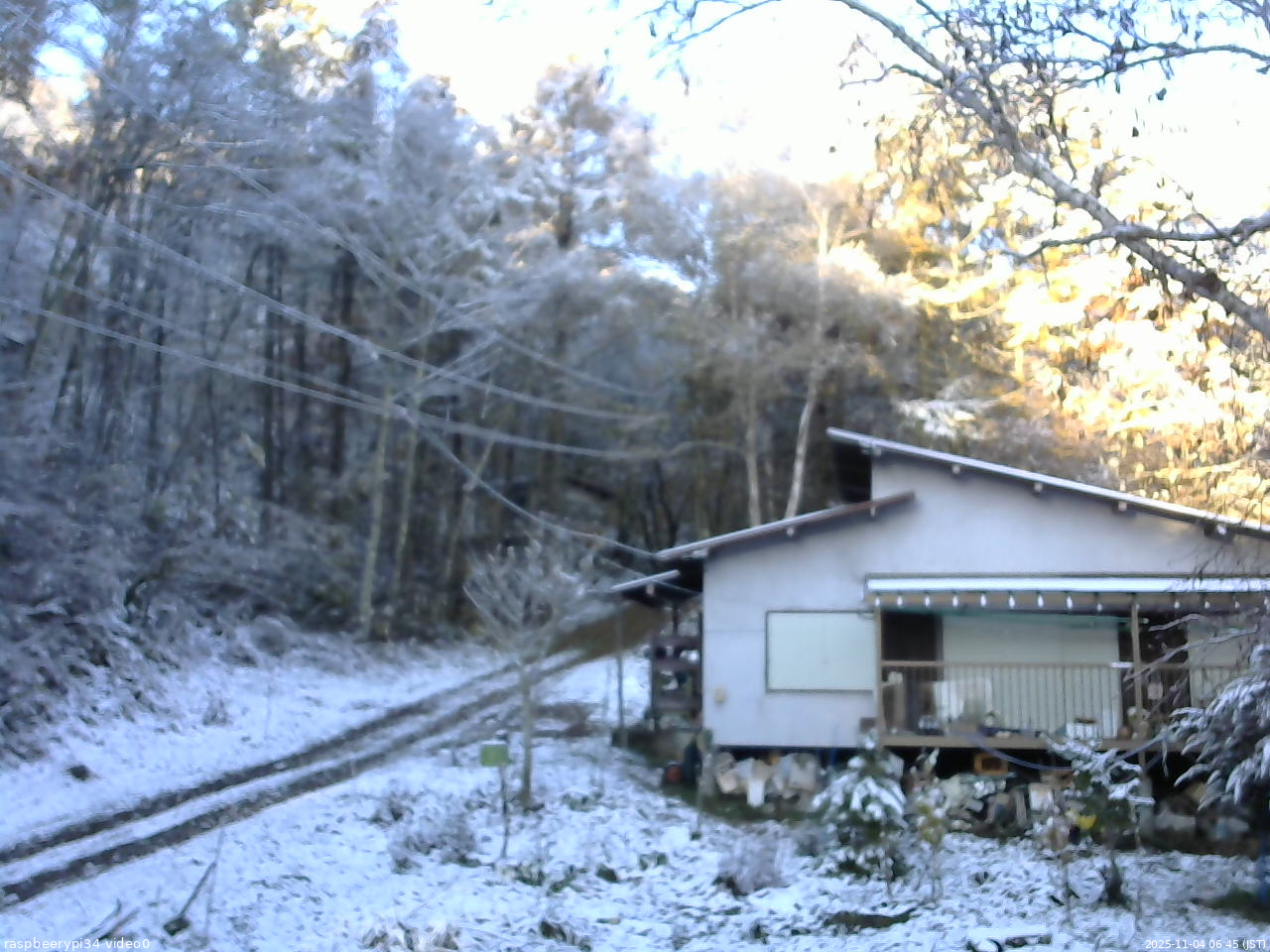 長野県菅平高原 ゆたか山荘 西側(坂上) 2025/11/04 06:45