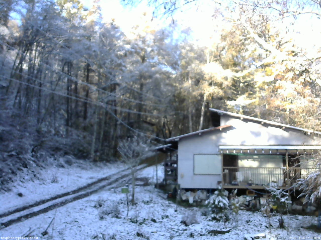 長野県菅平高原 ゆたか山荘 西側(坂上) 2025/11/04 07:30