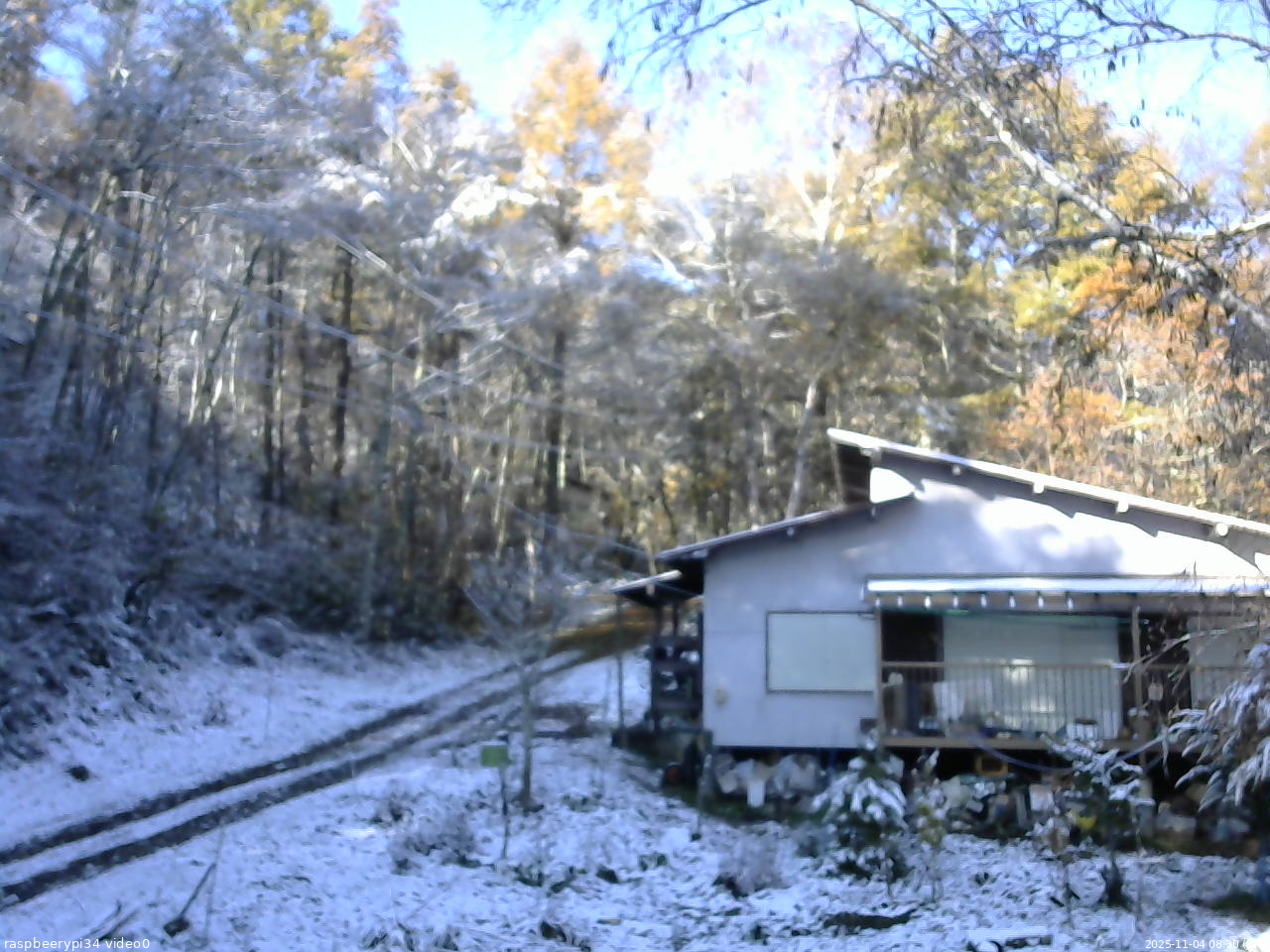 長野県菅平高原 ゆたか山荘 西側(坂上) 2025/11/04 08:30