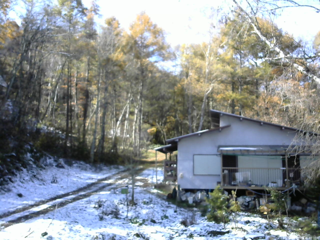 長野県菅平高原 ゆたか山荘 西側(坂上) 2025/11/04 11:30