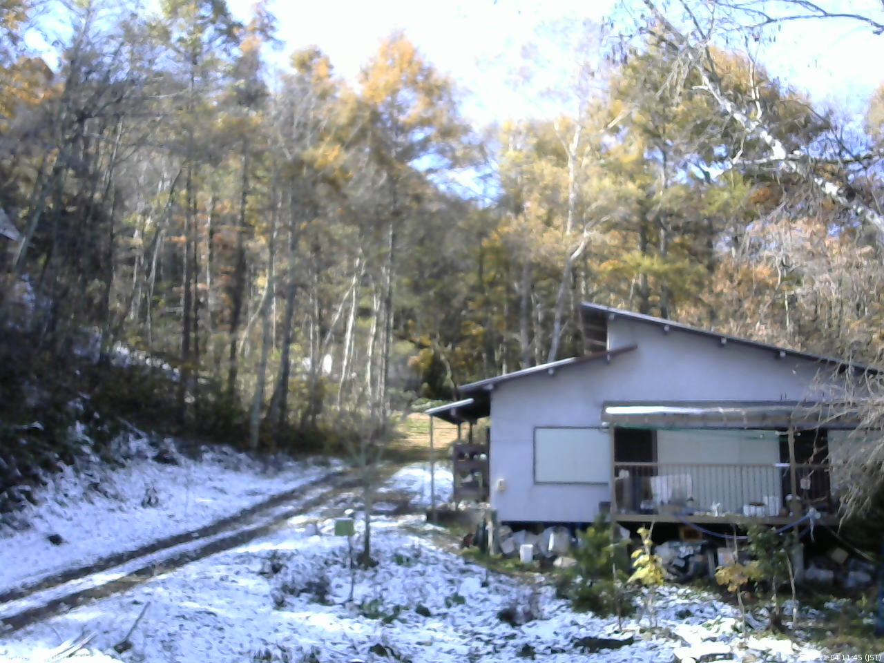 長野県菅平高原 ゆたか山荘 西側(坂上) 2025/11/04 11:45