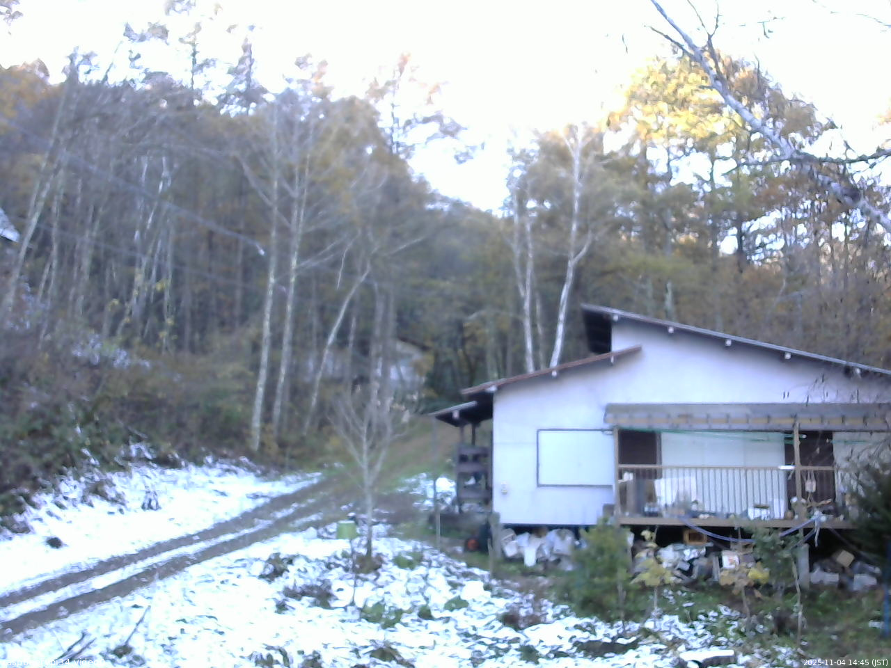 長野県菅平高原 ゆたか山荘 西側(坂上) 2025/11/04 14:45