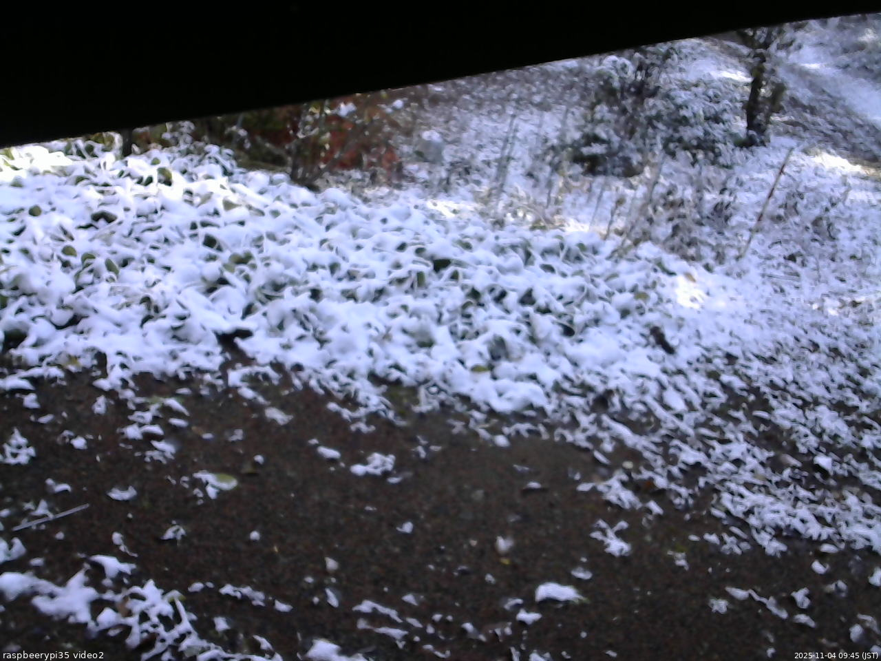 長野県菅平高原 ゆたか山荘 駐車場 2025/11/04 09:45