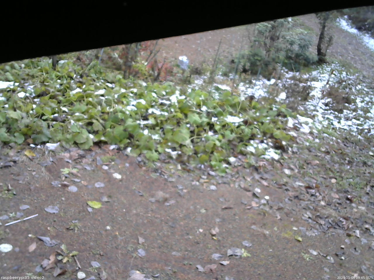 長野県菅平高原 ゆたか山荘 駐車場 2025/11/05 09:45