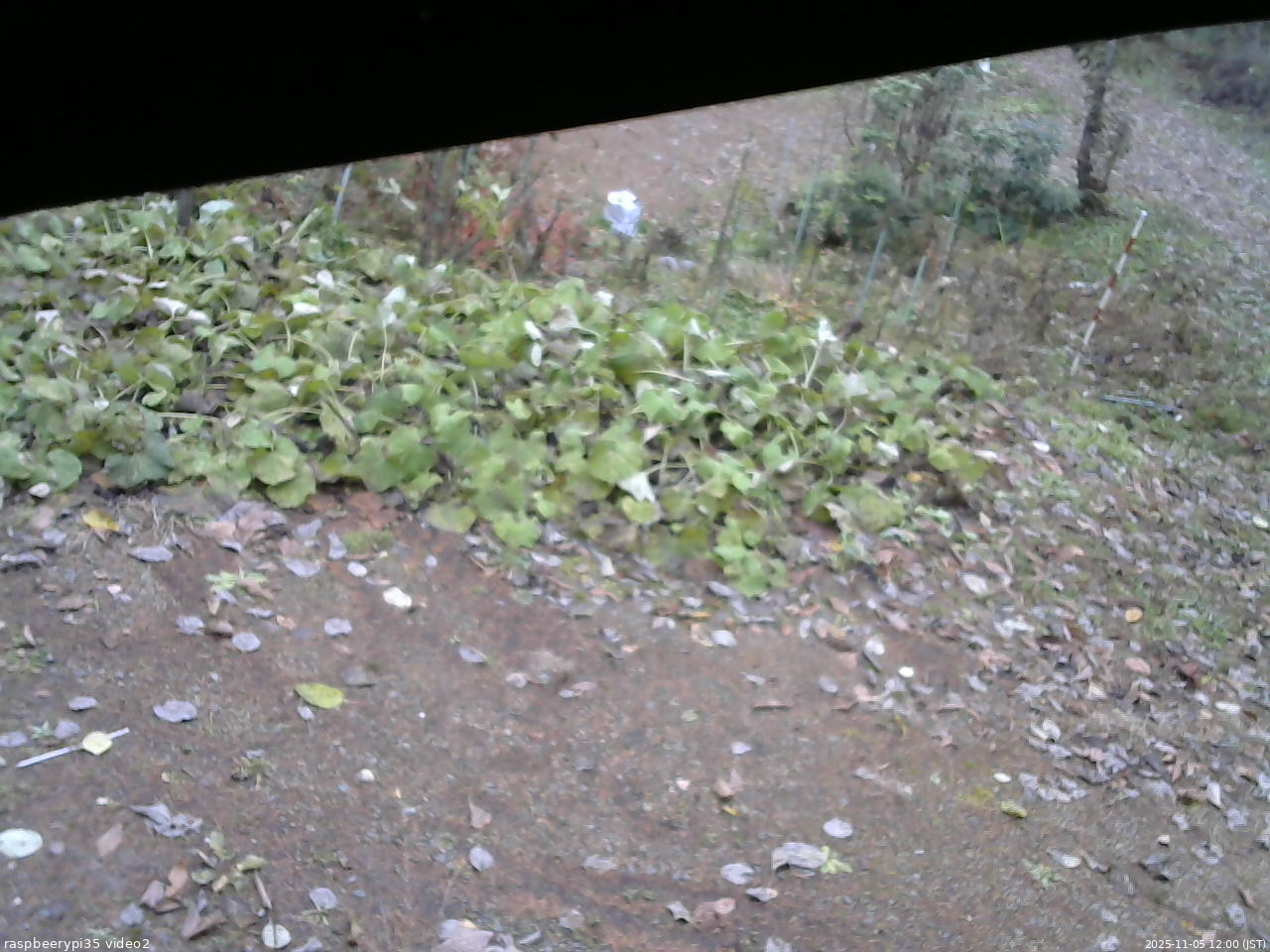 長野県菅平高原 ゆたか山荘 駐車場 2025/11/05 12:00