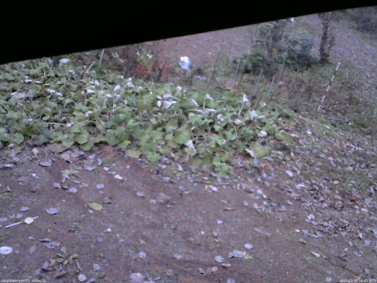 長野県菅平高原 ゆたか山荘 駐車場 2025/11/05 16:45