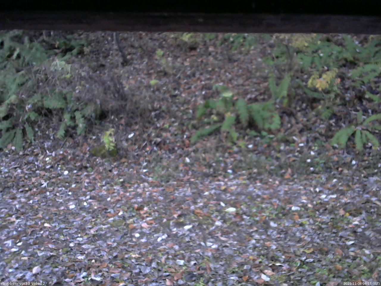 長野県菅平高原 ゆたか山荘 南側 2025/11/06 06:15