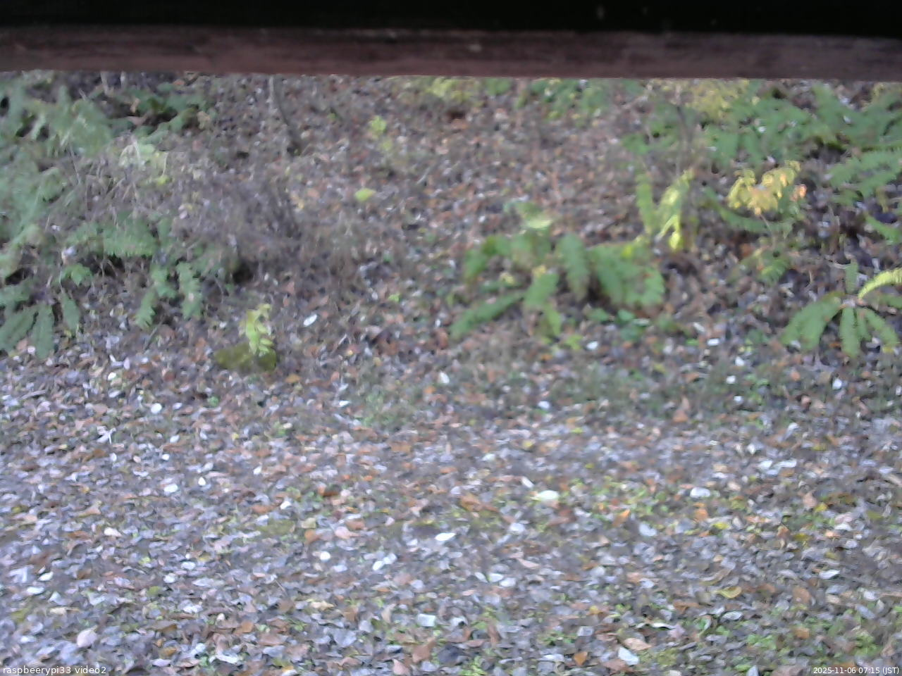 長野県菅平高原 ゆたか山荘 南側 2025/11/06 07:15