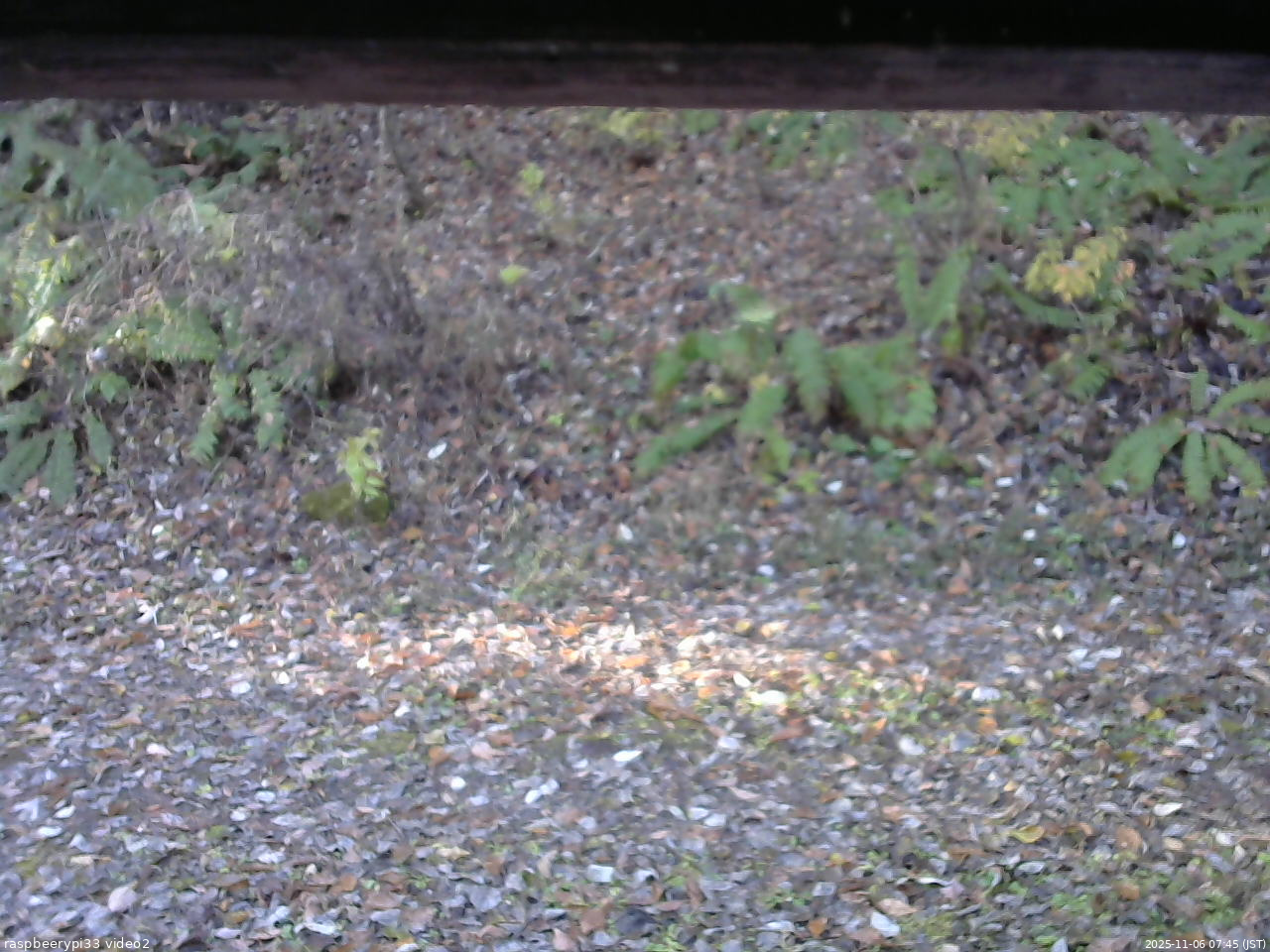 長野県菅平高原 ゆたか山荘 南側 2025/11/06 07:45