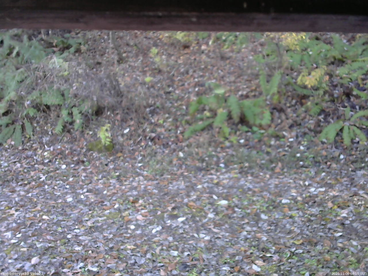 長野県菅平高原 ゆたか山荘 南側 2025/11/06 08:15