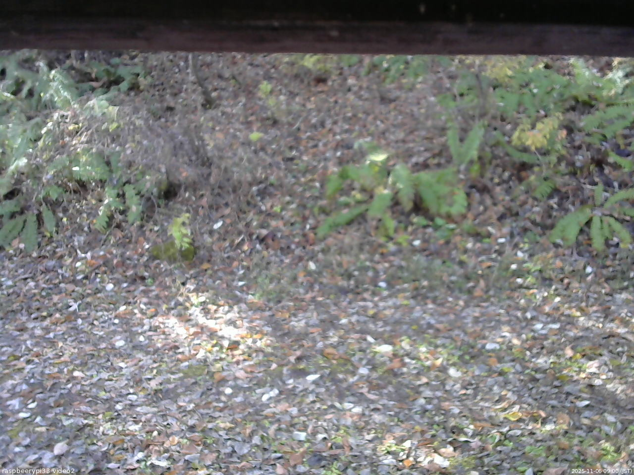 長野県菅平高原 ゆたか山荘 南側 2025/11/06 09:00