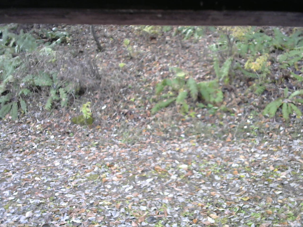 長野県菅平高原 ゆたか山荘 南側 2025/11/06 09:30