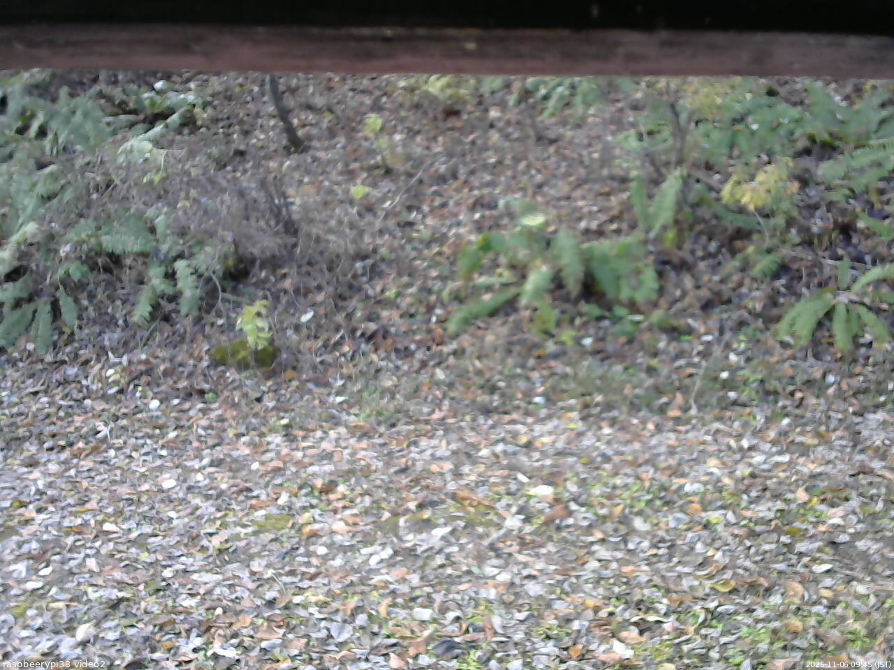 長野県菅平高原 ゆたか山荘 南側 2025/11/06 09:45