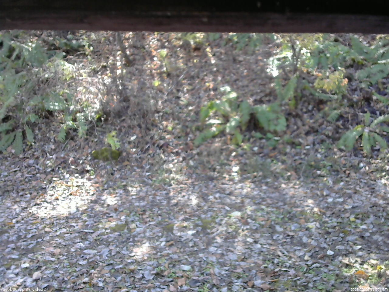 長野県菅平高原 ゆたか山荘 南側 2025/11/06 11:00