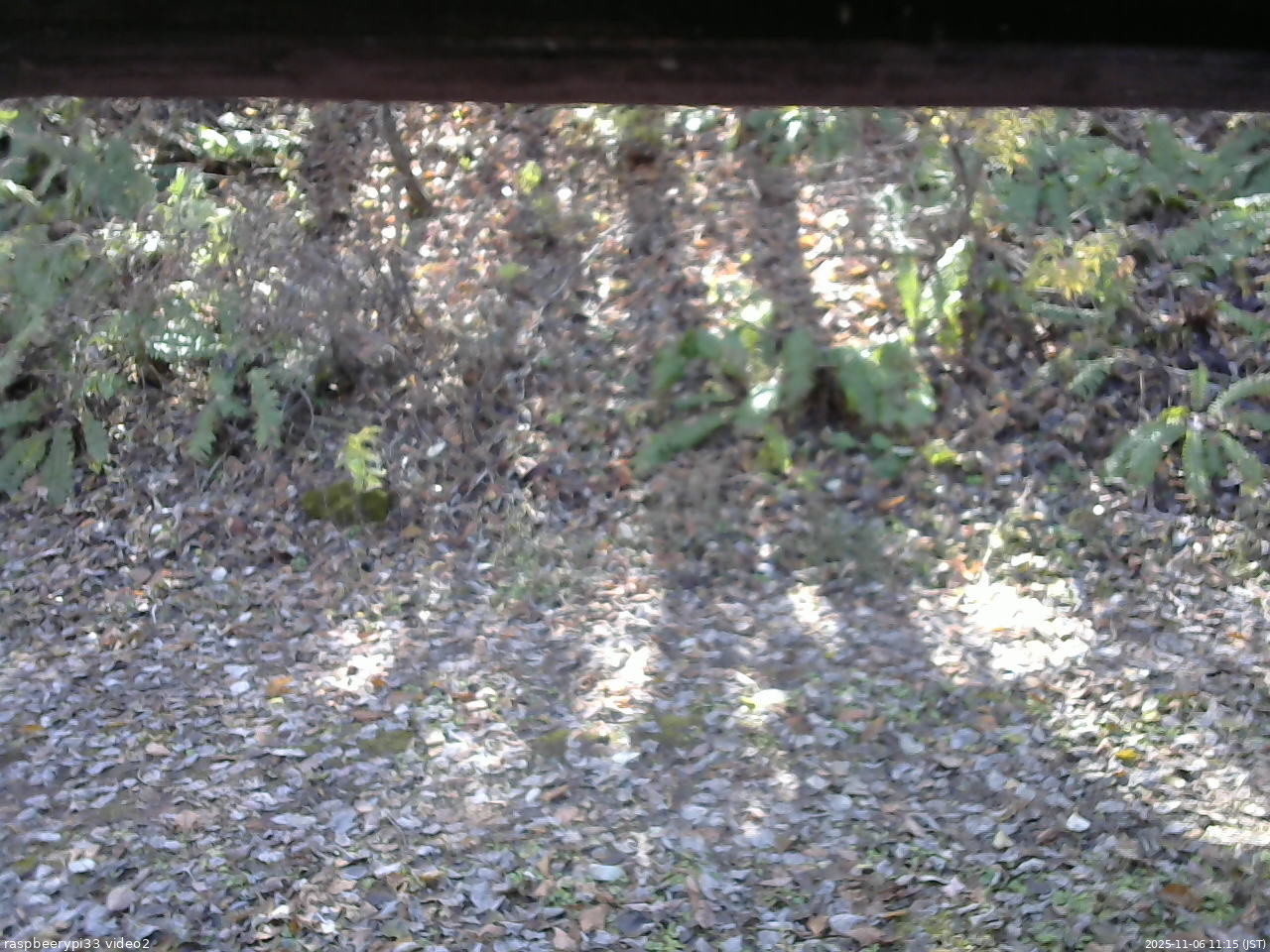 長野県菅平高原 ゆたか山荘 南側 2025/11/06 11:15