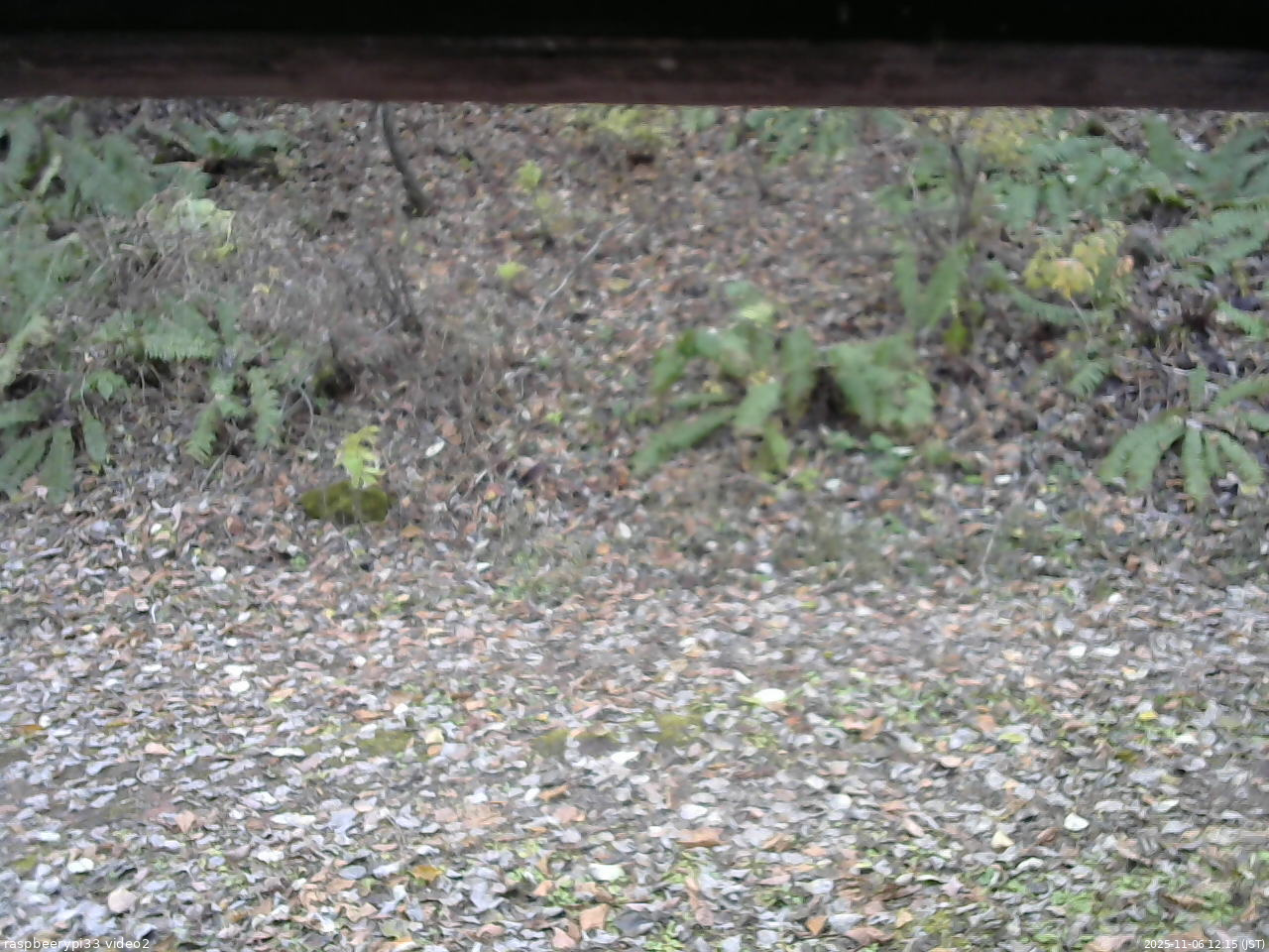 長野県菅平高原 ゆたか山荘 南側 2025/11/06 12:15