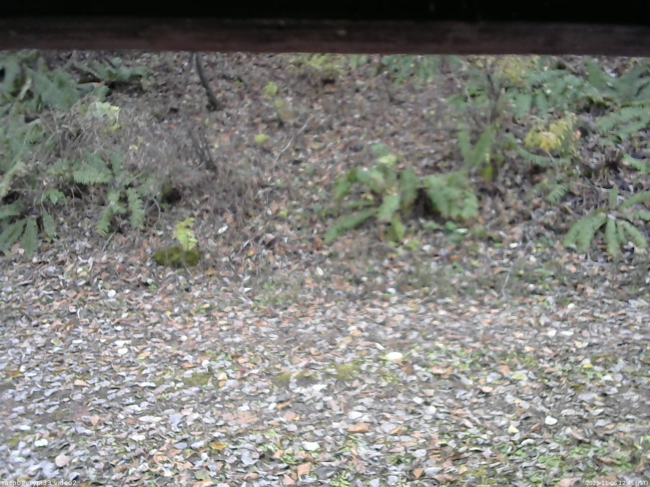 長野県菅平高原 ゆたか山荘 南側 2025/11/06 12:45