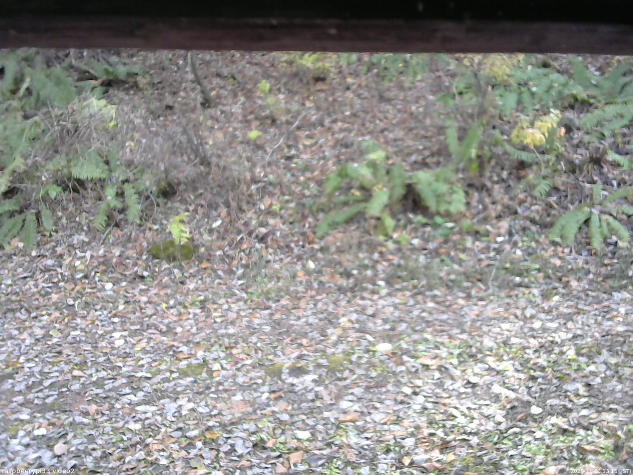 長野県菅平高原 ゆたか山荘 南側 2025/11/06 13:15