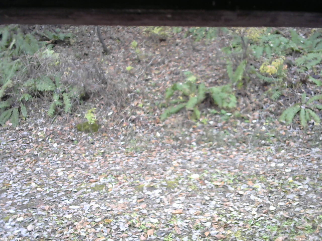 長野県菅平高原 ゆたか山荘 南側 2025/11/06 13:30