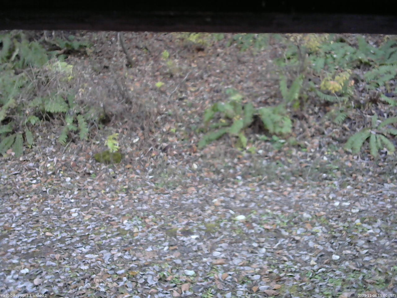 長野県菅平高原 ゆたか山荘 南側 2025/11/06 15:00
