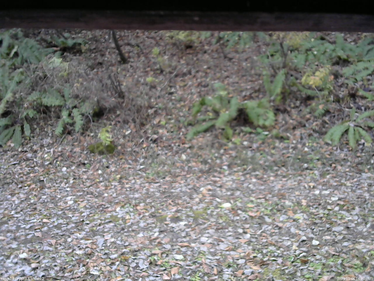 長野県菅平高原 ゆたか山荘 南側 2025/11/06 16:00