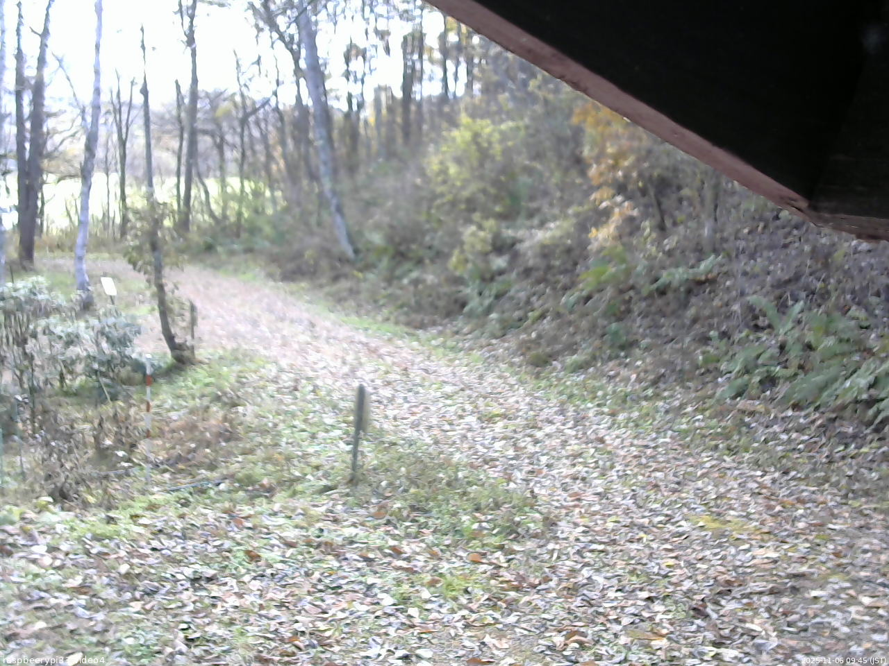 長野県菅平高原 ゆたか山荘 東側(坂下) 2025/11/06 09:45