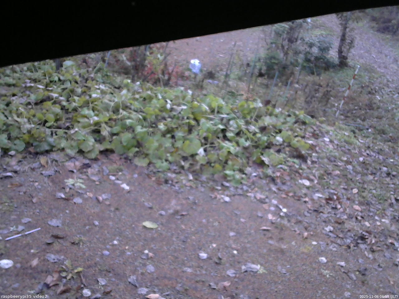 長野県菅平高原 ゆたか山荘 駐車場 2025/11/06 06:15
