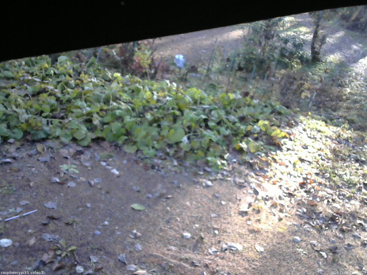 長野県菅平高原 ゆたか山荘 駐車場 2025/11/06 07:15