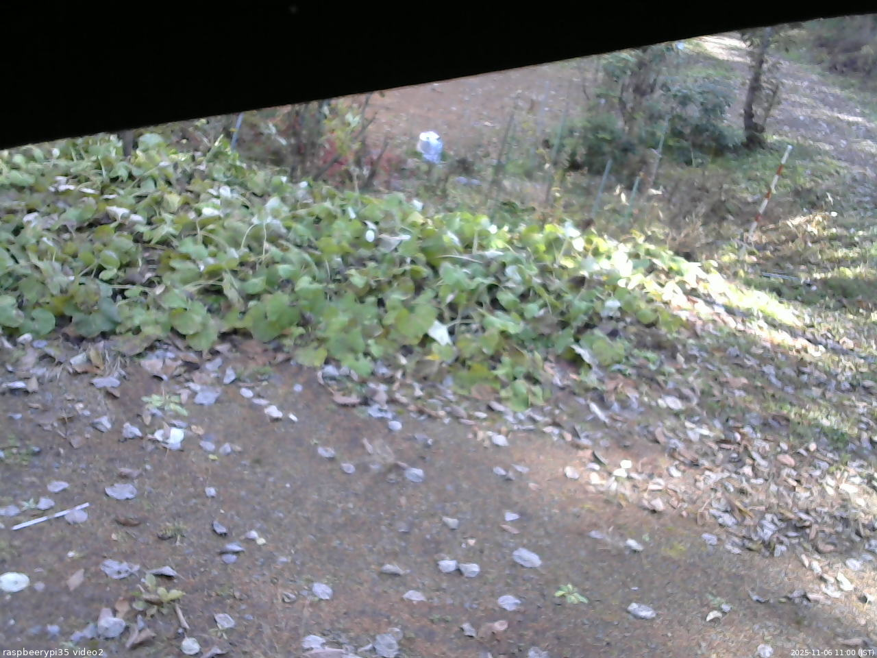 長野県菅平高原 ゆたか山荘 駐車場 2025/11/06 11:00