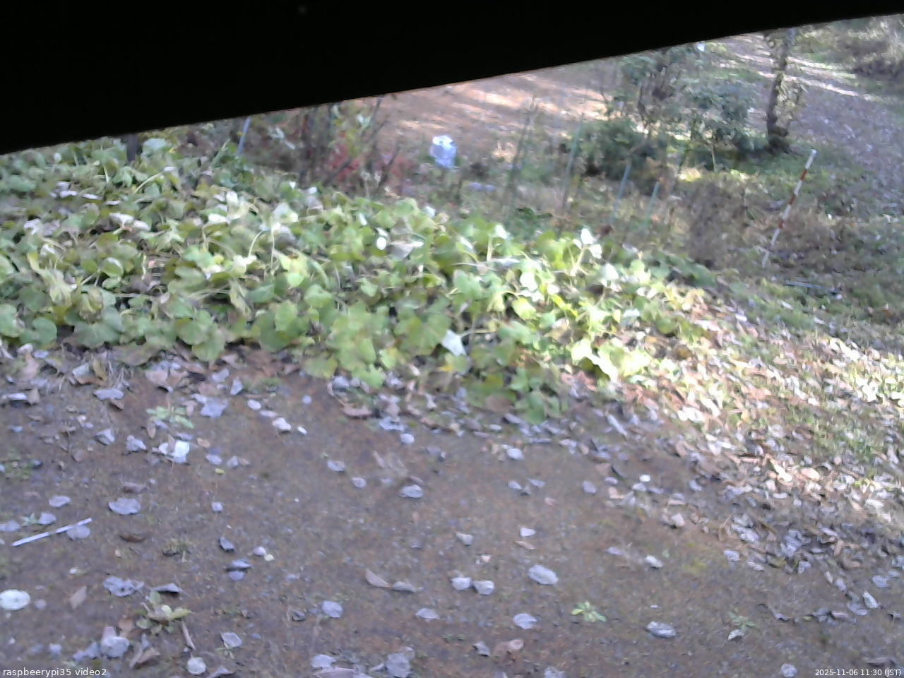 長野県菅平高原 ゆたか山荘 駐車場 2025/11/06 11:30