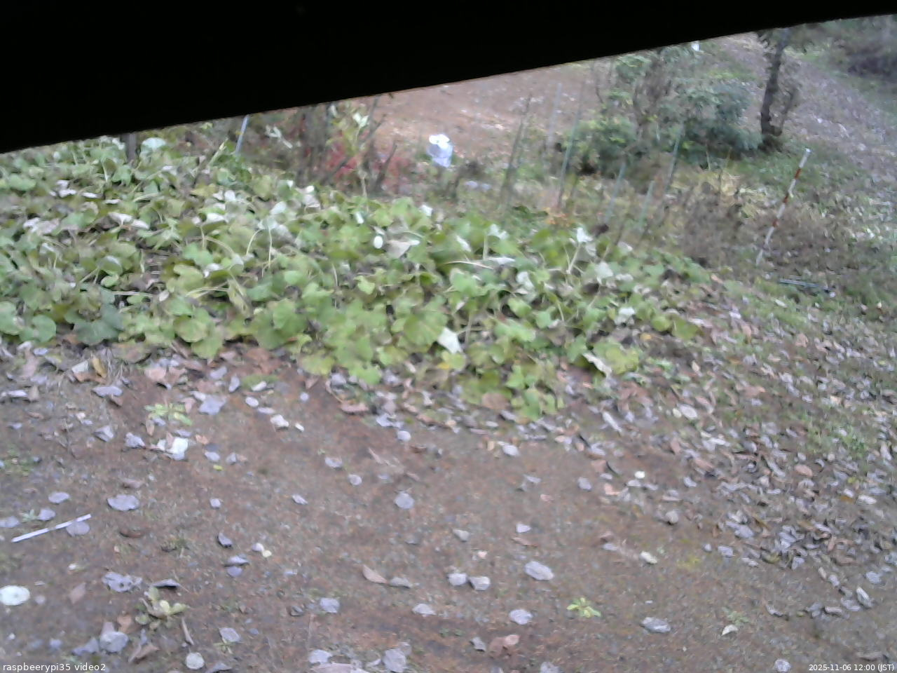 長野県菅平高原 ゆたか山荘 駐車場 2025/11/06 12:00