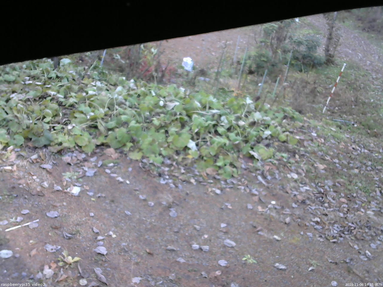 長野県菅平高原 ゆたか山荘 駐車場 2025/11/06 14:15