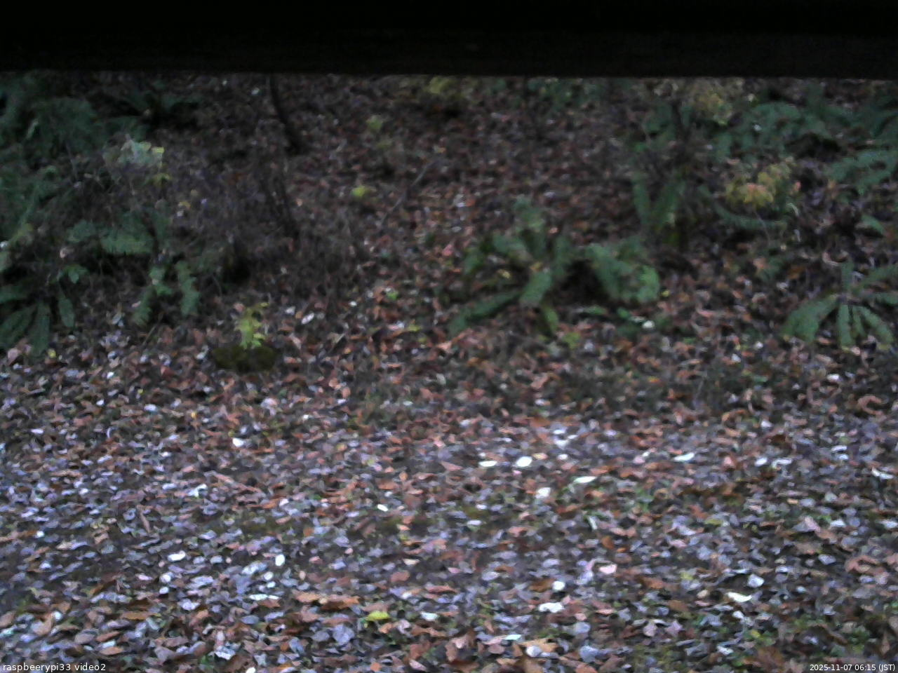 長野県菅平高原 ゆたか山荘 南側 2025/11/07 06:15