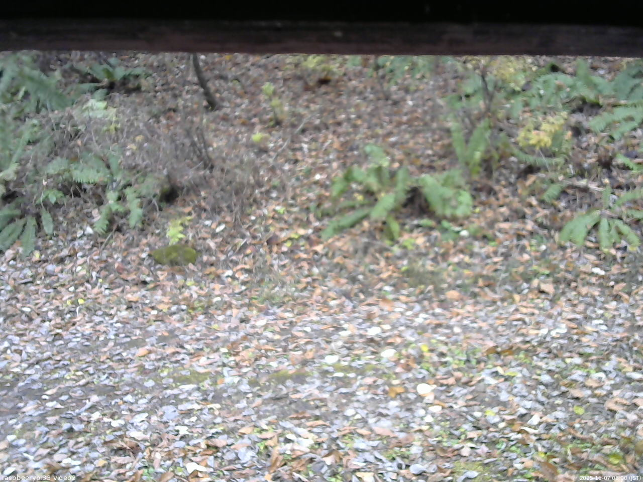 長野県菅平高原 ゆたか山荘 南側 2025/11/07 08:00