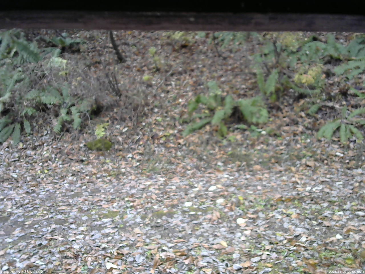 長野県菅平高原 ゆたか山荘 南側 2025/11/07 09:00