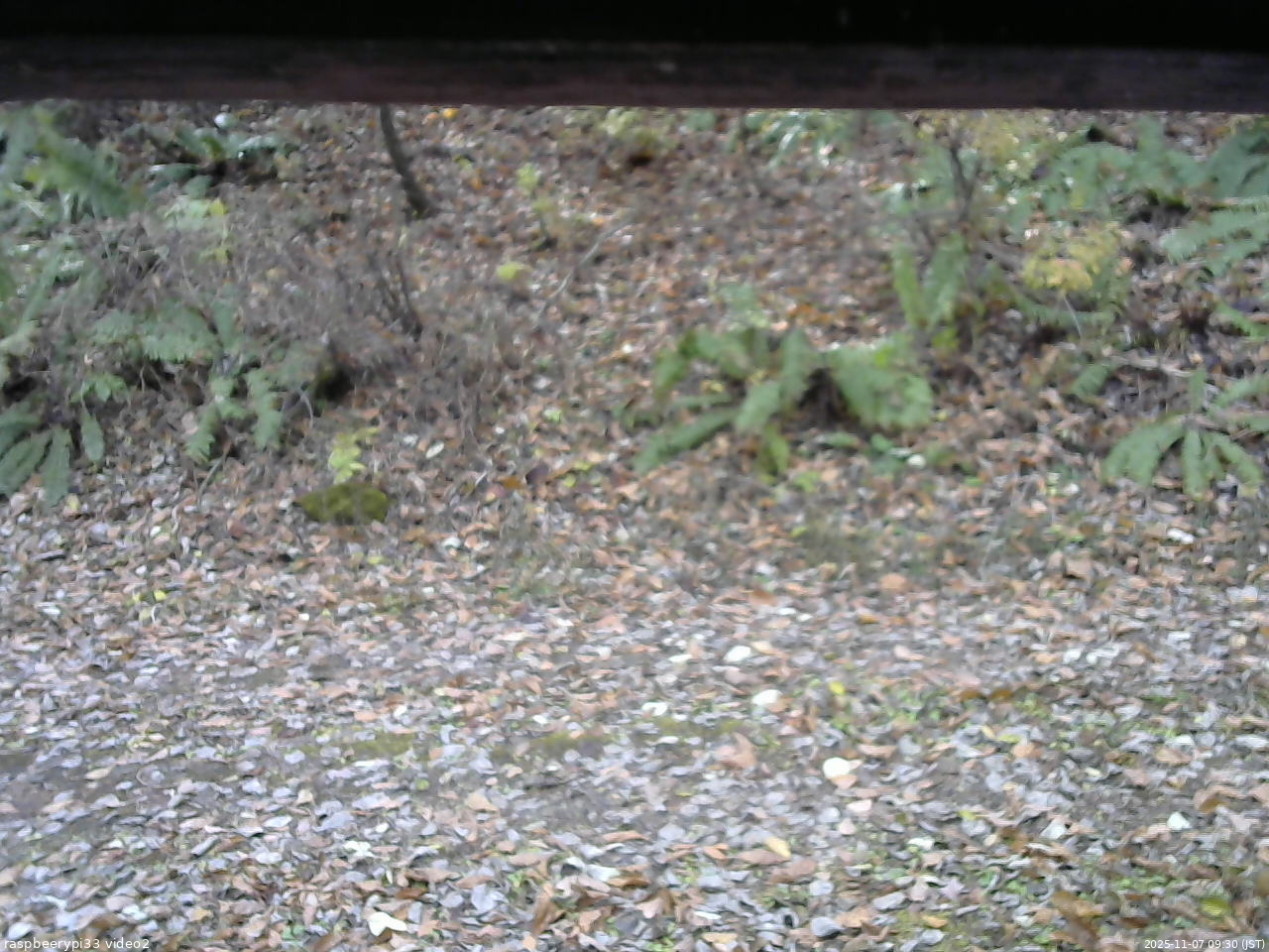 長野県菅平高原 ゆたか山荘 南側 2025/11/07 09:30