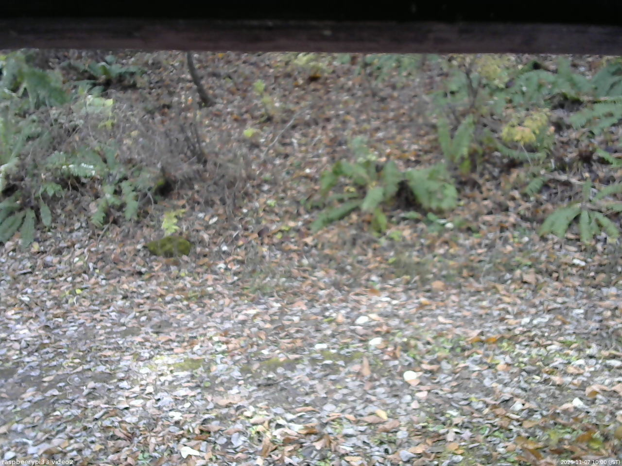 長野県菅平高原 ゆたか山荘 南側 2025/11/07 10:00