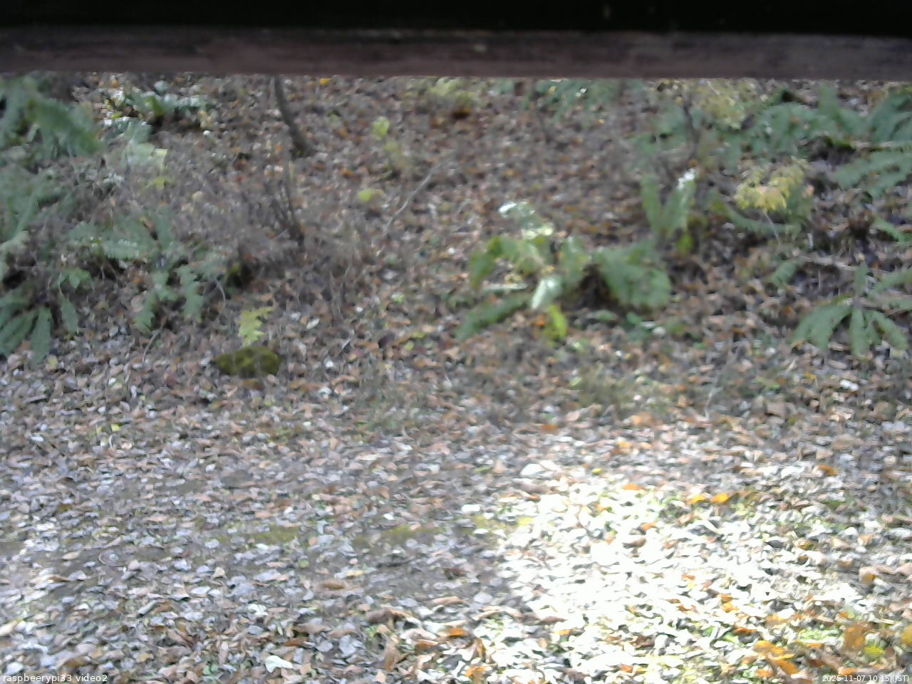 長野県菅平高原 ゆたか山荘 南側 2025/11/07 10:15