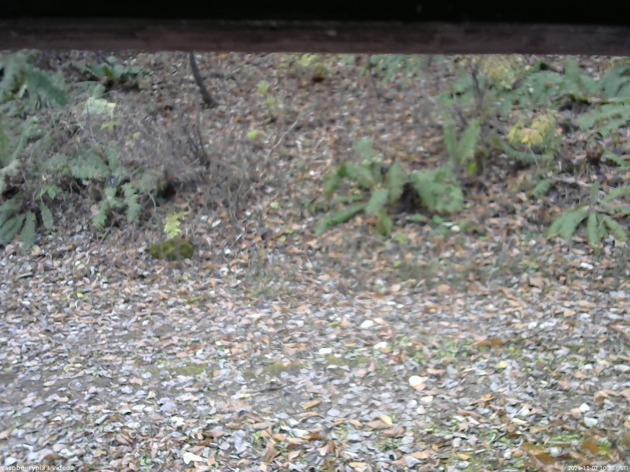 長野県菅平高原 ゆたか山荘 南側 2025/11/07 10:30