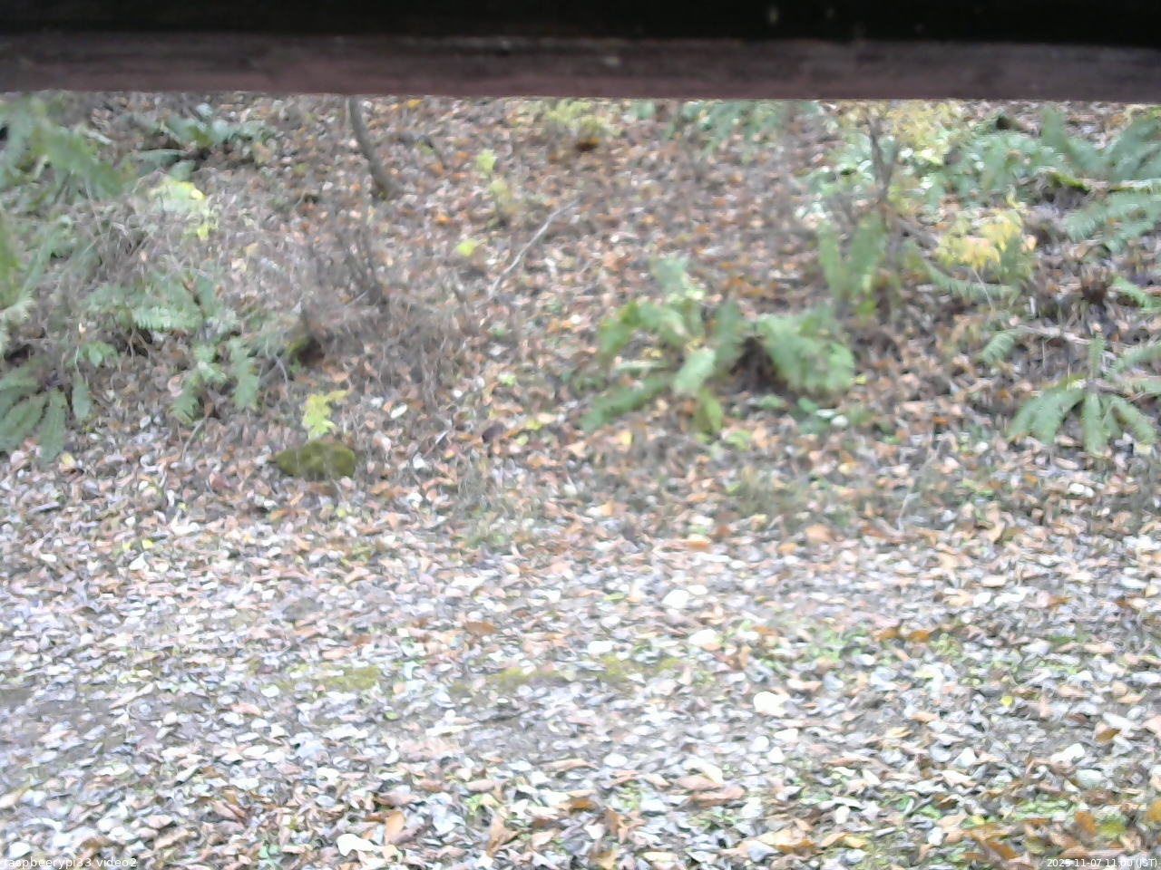 長野県菅平高原 ゆたか山荘 南側 2025/11/07 11:00