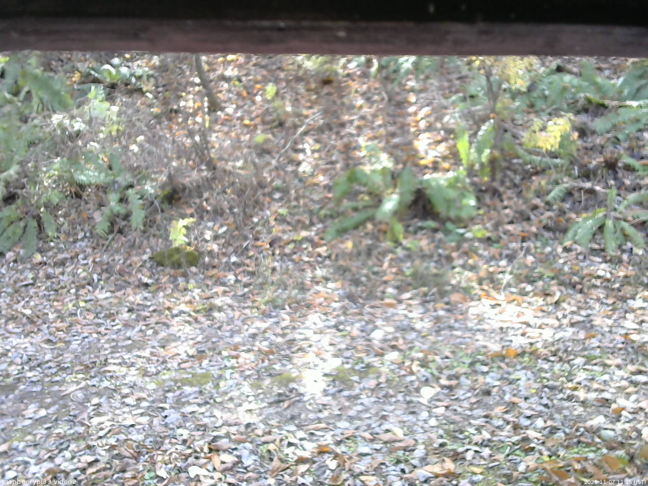 長野県菅平高原 ゆたか山荘 南側 2025/11/07 11:15