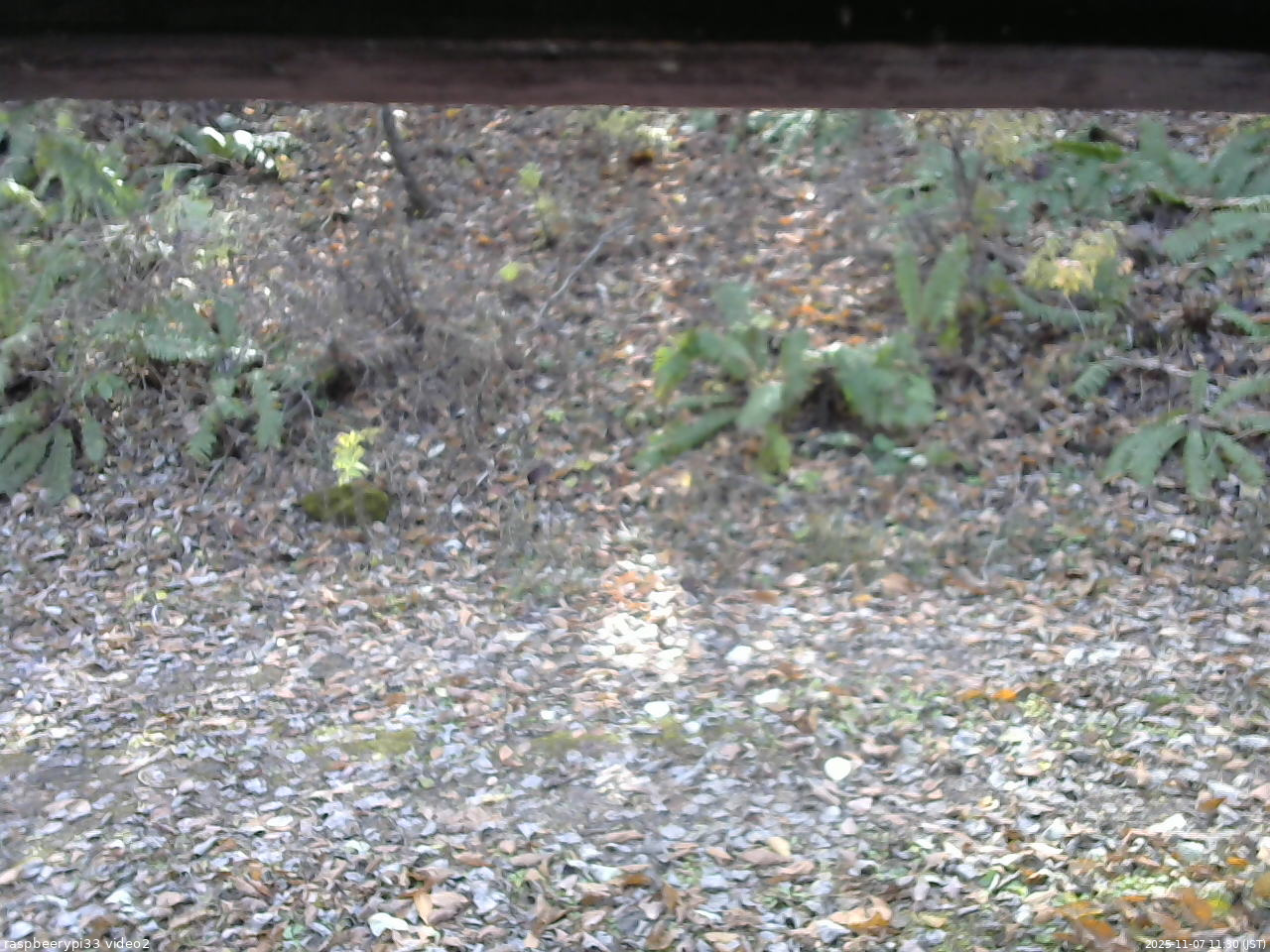 長野県菅平高原 ゆたか山荘 南側 2025/11/07 11:30