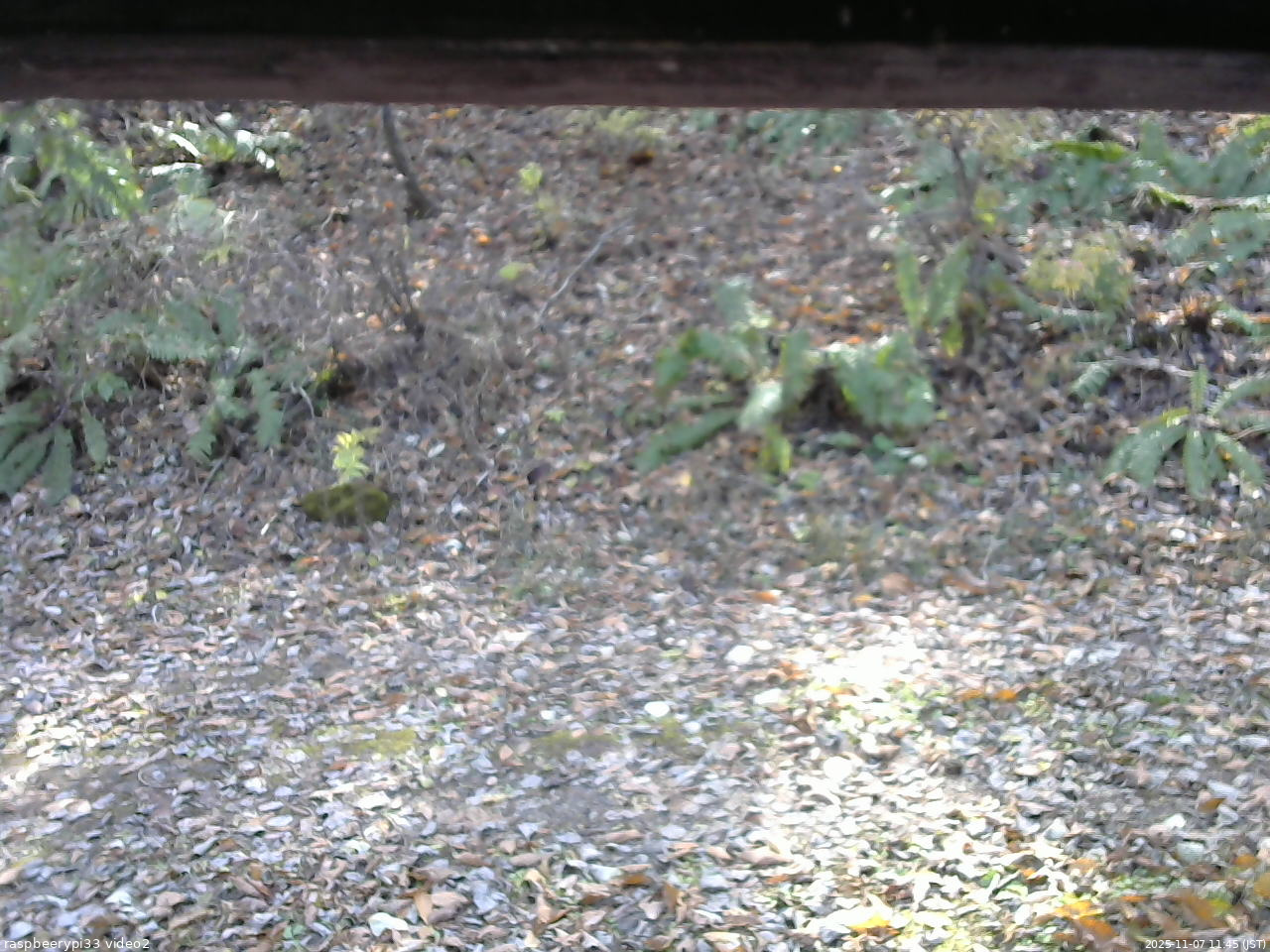 長野県菅平高原 ゆたか山荘 南側 2025/11/07 11:45