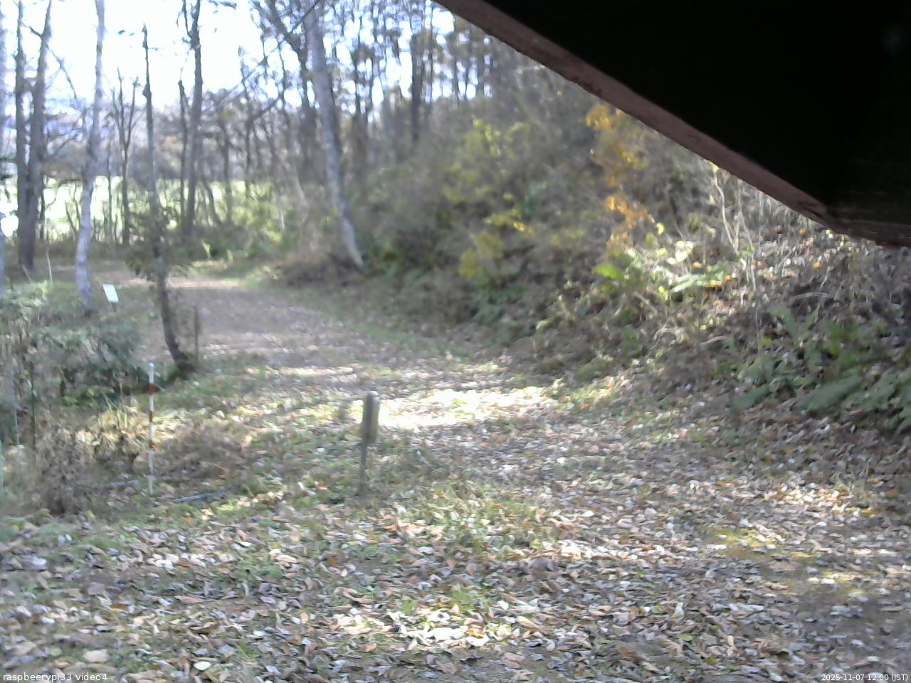 長野県菅平高原 ゆたか山荘 東側(坂下) 2025/11/07 12:00