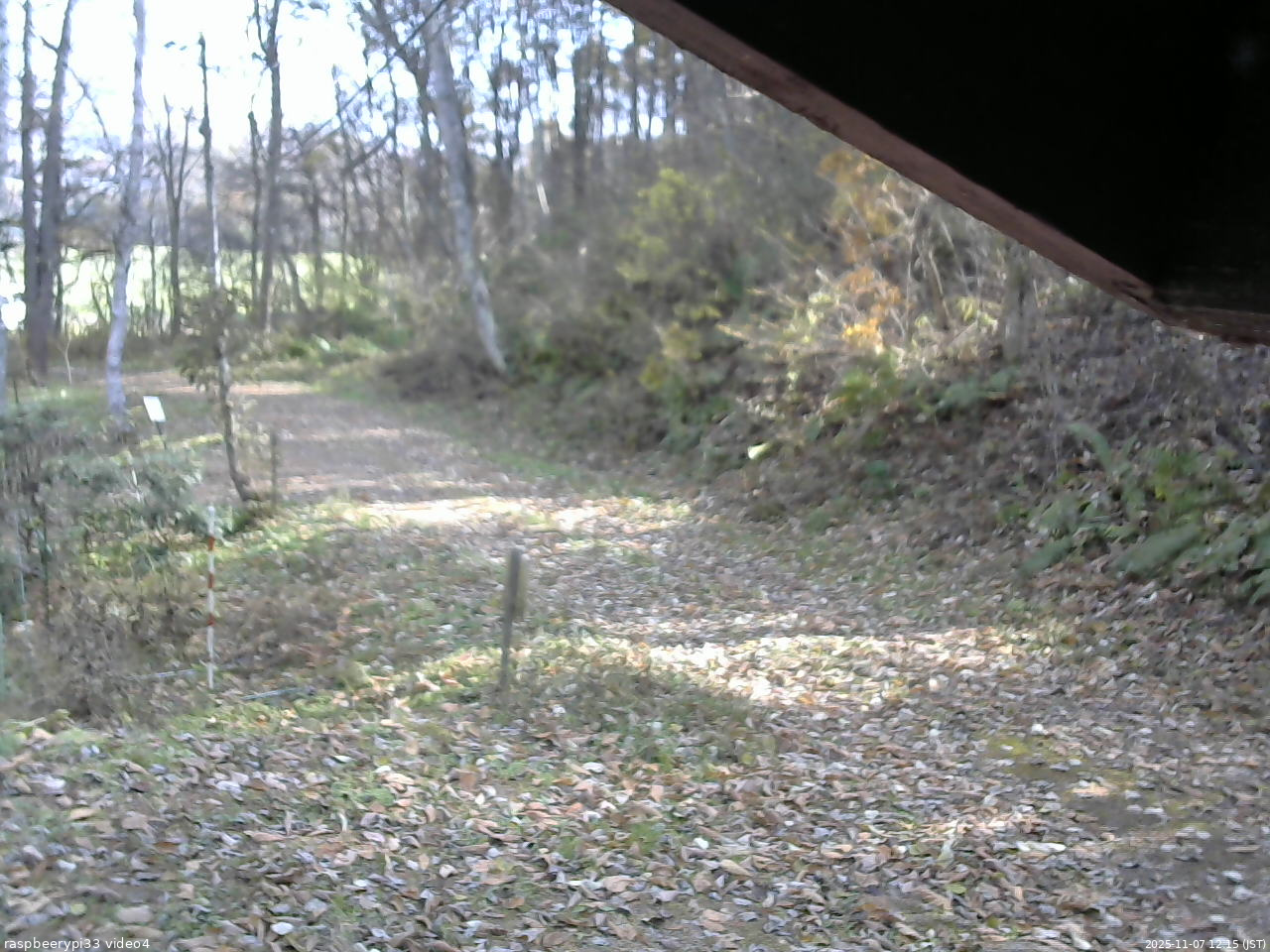 長野県菅平高原 ゆたか山荘 東側(坂下) 2025/11/07 12:15