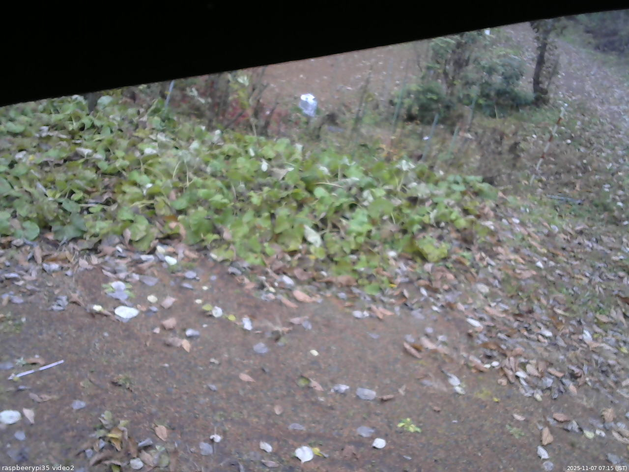 長野県菅平高原 ゆたか山荘 駐車場 2025/11/07 07:15